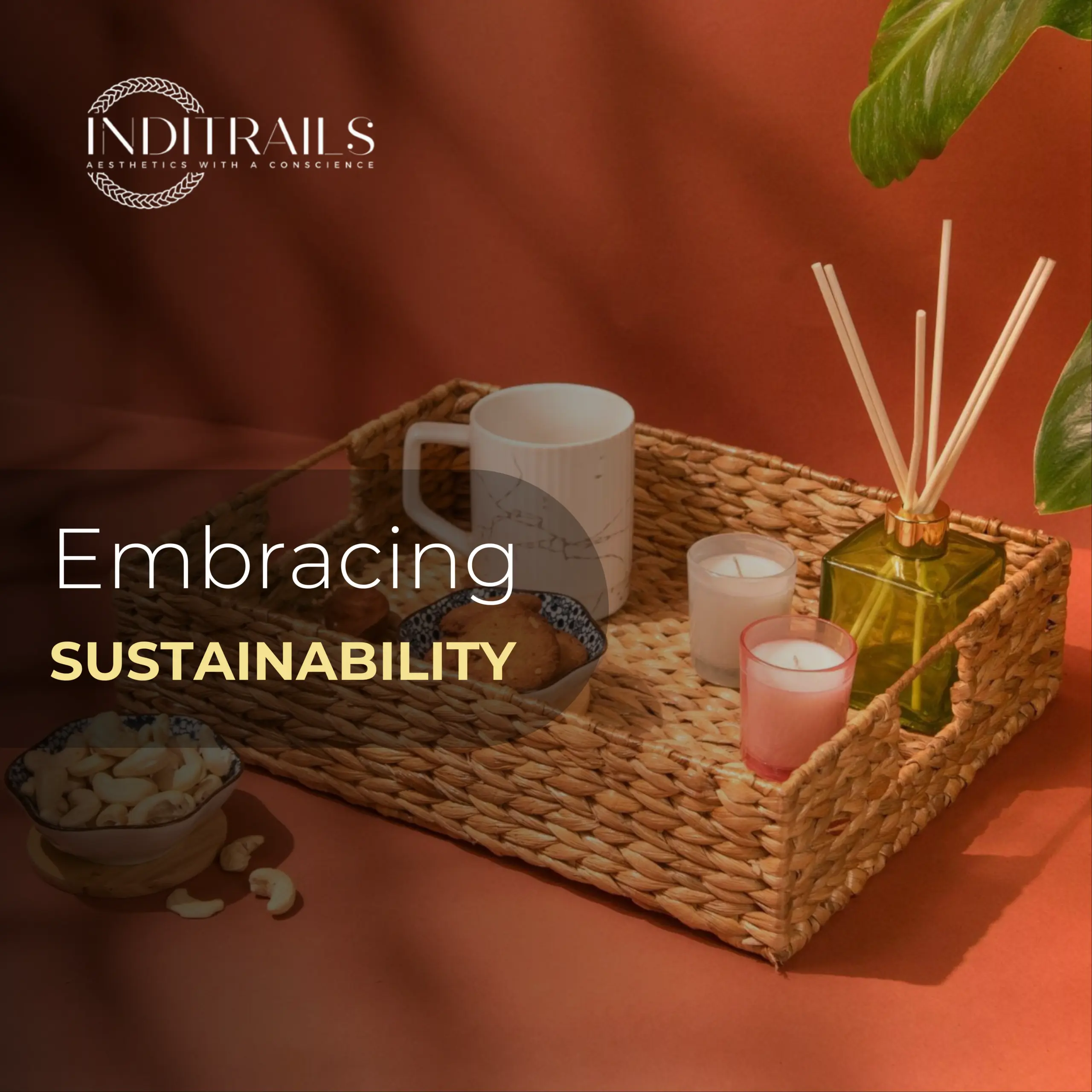 You are currently viewing Embracing Sustainability: How a Water Hyacinth Tray Transformed My Home