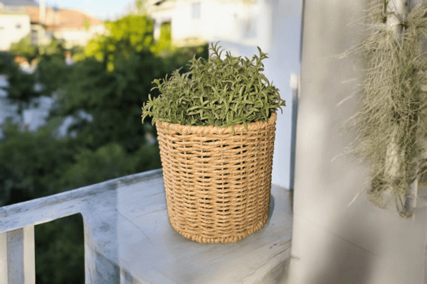 Handwoven Sea Grass Planter for Indoor Patio